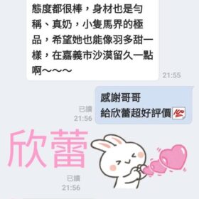 台南定點茶 欣蕾 - 找妹老司機