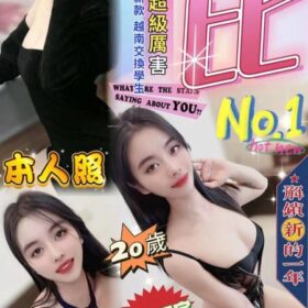 台中定點茶 波比