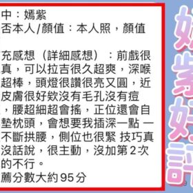 嫣紫 - 找妹老司機