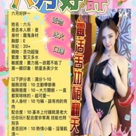 台南定點茶 六月 - 找妹老司機