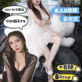 台南定點茶 白鹿