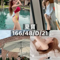 桃園外送茶 夏寶