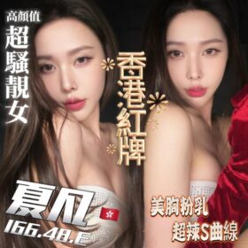 新北定點茶 初芽