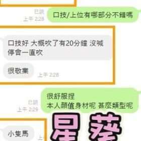 南投定點茶 星葵