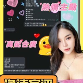 南投定點茶 淨詩