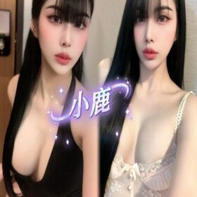 高雄定點茶 小鹿