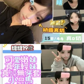 台南定點茶 糖糖
