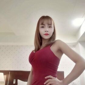 屏東定點/外送茶 貓貓