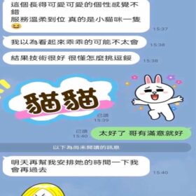 屏東定點/外送茶 貓貓
