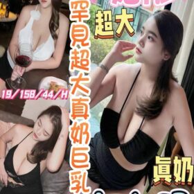 南投定點茶 婼彤