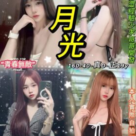 台北定點茶 月光