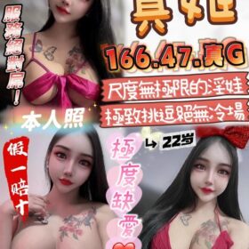 雲林定點茶 真姬