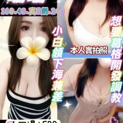 新北定點茶 珊珊