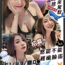 新竹定點茶 海豚