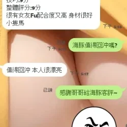 新竹定點茶 海豚 - 找妹老司機