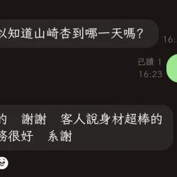 台中外送茶 山崎杏 - 找妹老司機