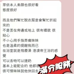 台中定點茶 芽依