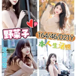 台北外送茶 野菜子