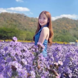 台北定點茶 楚楚 - 找妹老司機