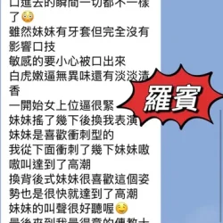 台東定點茶 羅賓