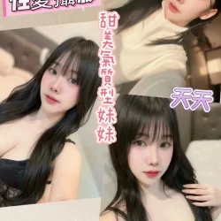南投定點茶 天天