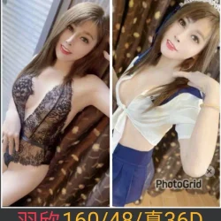 南投定點茶 羽欣