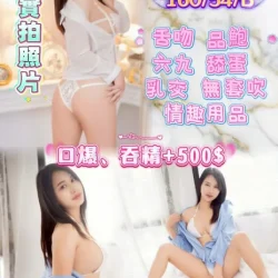 苗栗定點茶 星葵