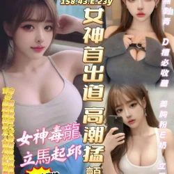 台南定點茶 馮媛媛