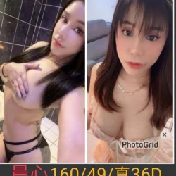 南投定點茶 晨心
