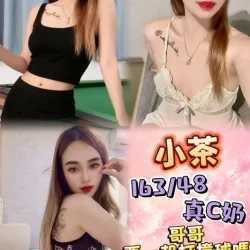 新北定點茶 小茶