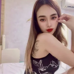 新北定點茶 小茶