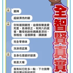 桃園定點茶 全智賢