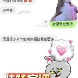 新竹定點茶 娃娃