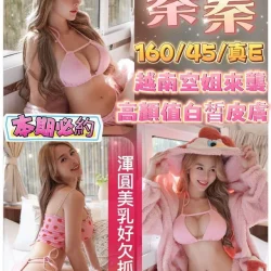 苗栗定點茶 蓁蓁