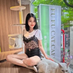 台北定點茶 伍星級