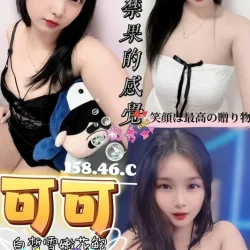 屏東定點茶 可可