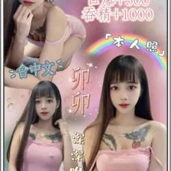 新北定點茶 卯卯