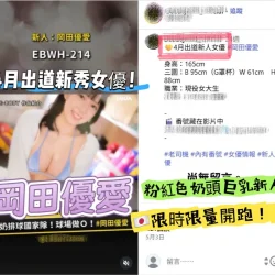 台北定點茶 岡田優愛 15 台北定點茶 岡田優愛