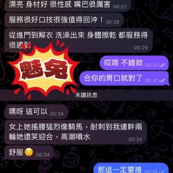 屏東定點茶 魅兔