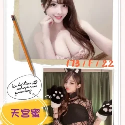 台中外送茶 天宮蜜