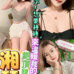 澎湖定點茶 湘琴