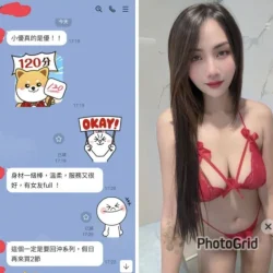 南投定點茶 小優