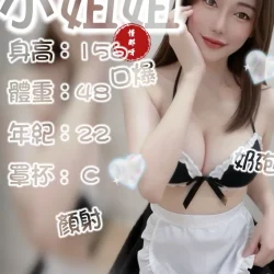 台南定點茶 小姐姐