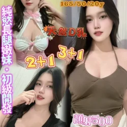 桃園定點茶 渺渺