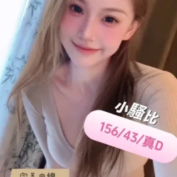 台中定點茶 小騷比