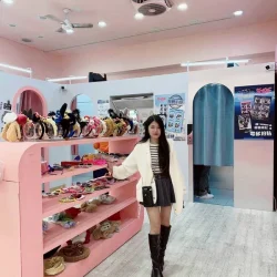 雲林定點茶 紅棗