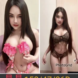 南投定點茶 晶晶