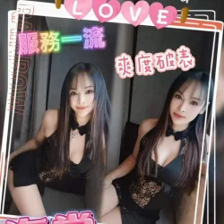 台中定點茶 海棠