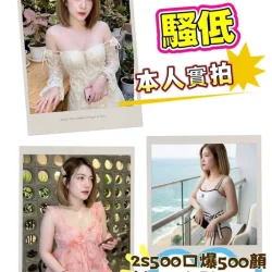 苗栗定點茶 咪咪