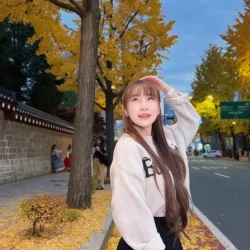 台北定點茶 黃云云 - 找妹老司機